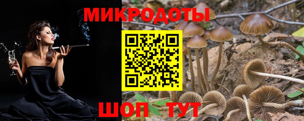 Галлюциногенные грибы MAGIC MUSHROOMS Гудермес