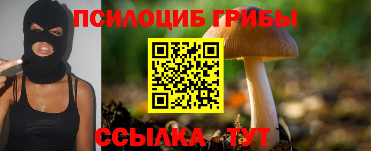 Галлюциногенные грибы GOLDEN TEACHER  Вход с VPN  Гудермес  Псилоцибиновые грибы прущие грибы 
